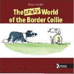 crazy-border-collie-vs