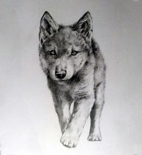 wolfswelpe