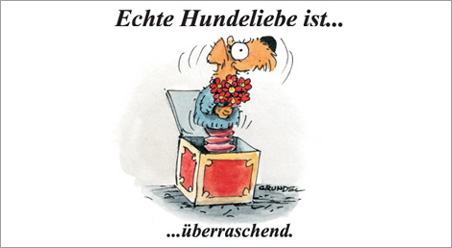 Echte Hundeliebe…