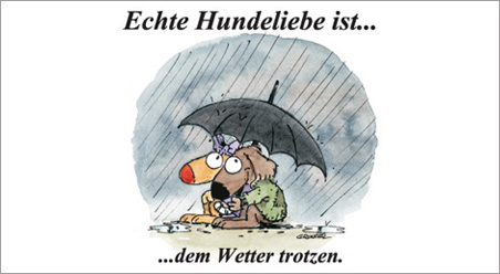 Echte Hundeliebe…