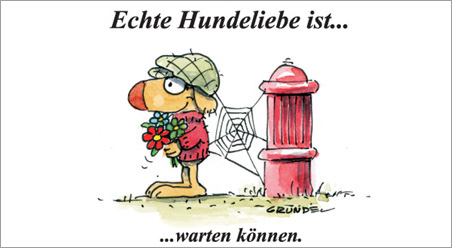 Echte Hundeliebe…