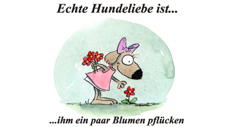 Echte Hundeliebe…