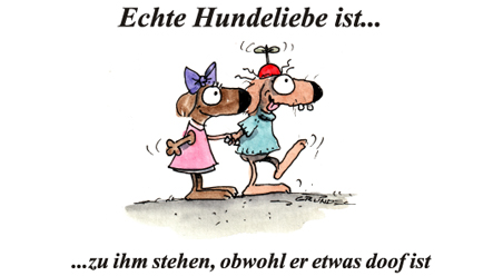 Echte Hundeliebe…