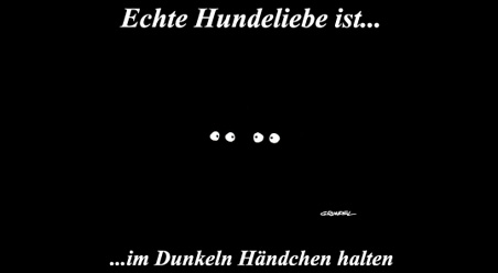 Echte Hundeliebe…