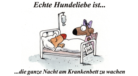 Echte Hundeliebe…