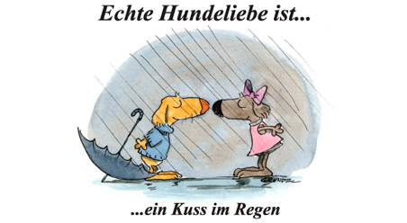 Echte Hundeliebe…