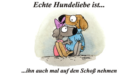 Echte Hundeliebe…