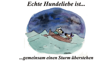 Echte Hundeliebe…