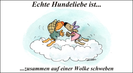 Echte Hundeliebe…