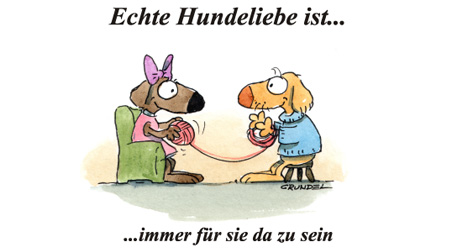 Echte Hundeliebe…