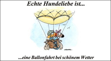 Echte Hundeliebe…