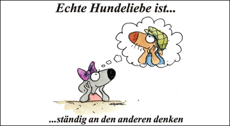 Echte Hundeliebe…