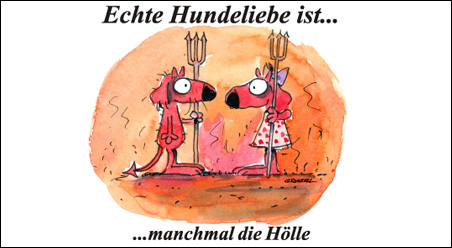 Echte Hundeliebe…