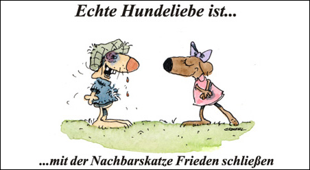 Echte Hundeliebe…