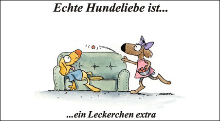 Echte Hundeliebe…