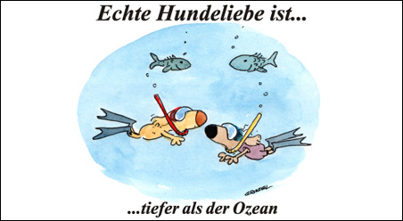 Echte Hundeliebe…