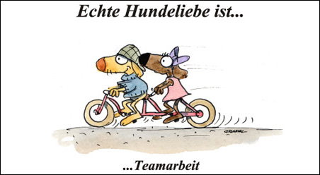 Echte Hundeliebe…