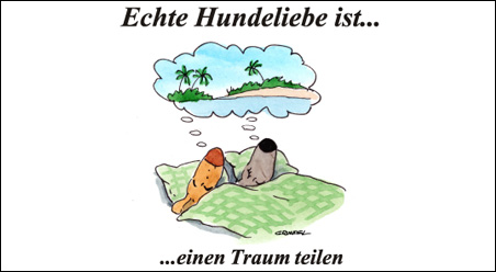 Echte Hundeliebe…