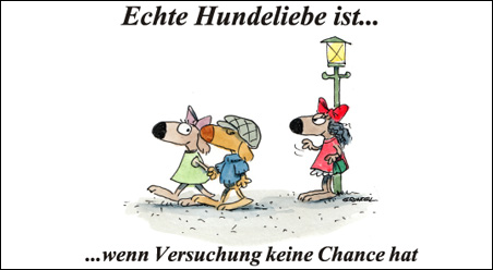 Echte Hundeliebe…