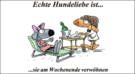 Echte Hundeliebe…