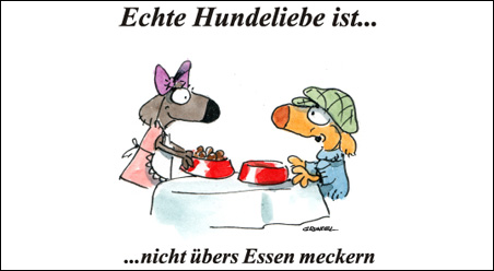 Echte Hundeliebe…