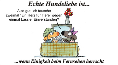 Echte Hundeliebe…