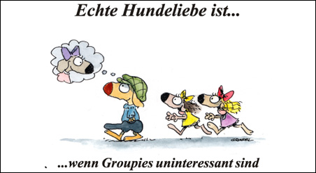 Echte Hundeliebe…