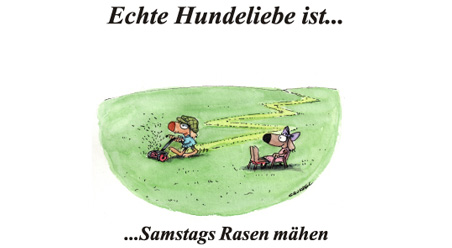 Echte Hundeliebe…